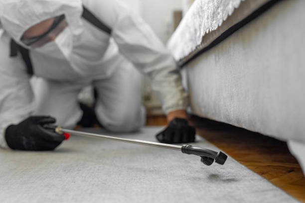 Professional Bed Bug Control technician working in Fulton County County, GA